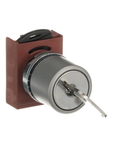 P9MSCD0E95 przełącznik