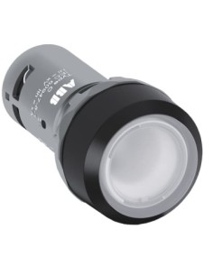 Przycisk podświetlany bezbarwny