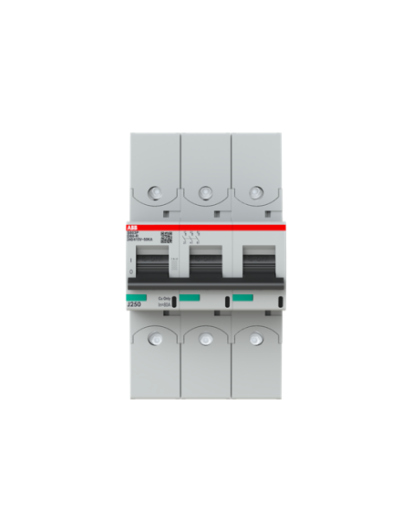 Wyłącznik nadmiarowo-prądowy S803P-D80-R