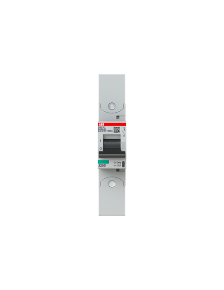 Wyłącznik nadmiarowo-prądowy S801P-B100-R