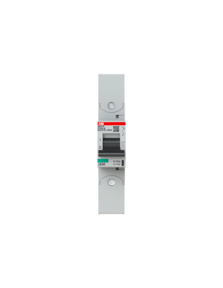 Wyłącznik nadmiarowo-prądowy S801P-D100-R