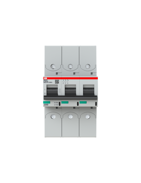 Wyłącznik nadmiarowo-prądowy S803P-C100-R