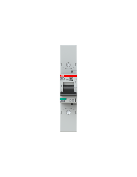 Wyłącznik nadmiarowo-prądowy S801P-C125-R