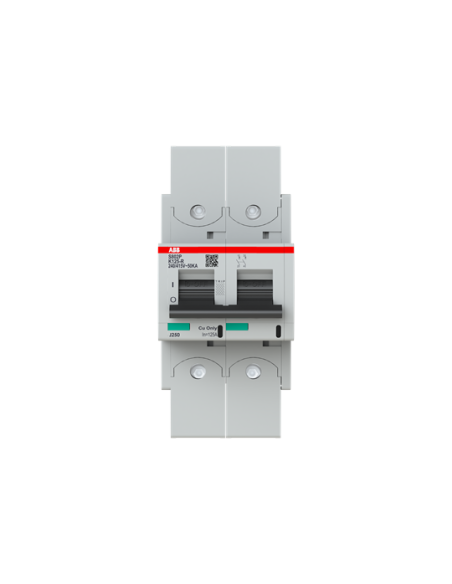 Wyłącznik nadmiarowo-prądowy S802P-K125-R