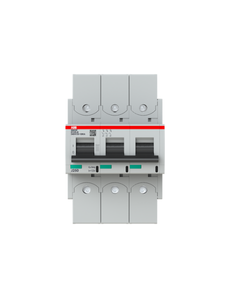 Wyłącznik nadmiarowo-prądowy S803P-D125-R