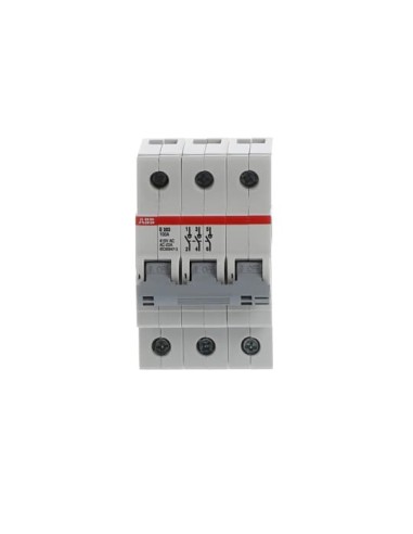 E203 100A gr Rozłącznik