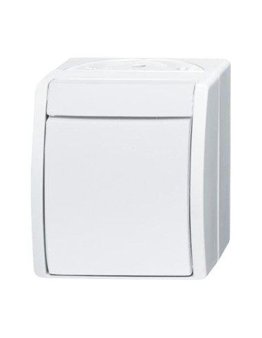 2601 2 W-54^WYŁĄCZNIK KOŁYSKOWY 2-BIEGUNOWY STOPIEŃ OCHRONY: IP44 -OCEAN-BIAŁY ALPEJSKI