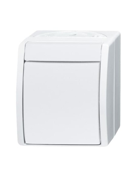 2601 2 W-54^WYŁĄCZNIK KOŁYSKOWY 2-BIEGUNOWY STOPIEŃ OCHRONY: IP44 -OCEAN-BIAŁY ALPEJSKI