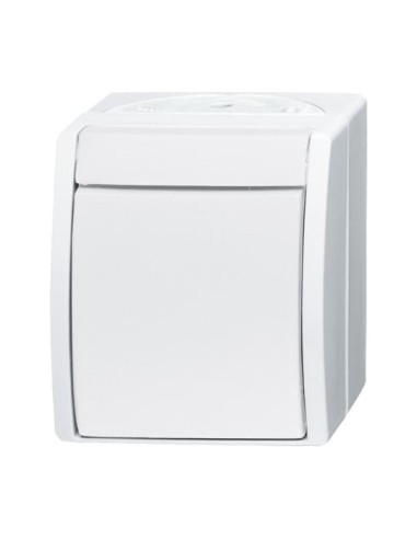 2601 6 W-54-500^WYŁĄCZNIK KOŁYSKOWY SCHODOWY STOPIEŃ OCHRONY: IP44 -OCEAN-BIAŁY ALPEJSKI