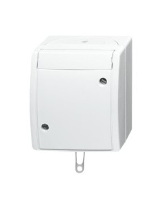 2610 6 W-54^WYŁĄCZNIK POCIĄGANY SCHODOWY Z ZACISKAMI ŚRUBOWYMI. STOPIEŃ OCHRONY: IP44 -OCEAN-BIAŁY ALPEJSKI