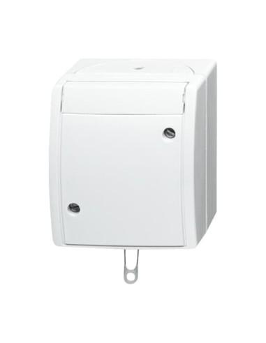 2610 6 W-54^WYŁĄCZNIK POCIĄGANY SCHODOWY Z ZACISKAMI ŚRUBOWYMI. STOPIEŃ OCHRONY: IP44 -OCEAN-BIAŁY ALPEJSKI