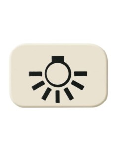 2525 LI^SYMBOL ŚWIATŁO -BUSCH-DURO-KOŚĆ SŁONIOWA