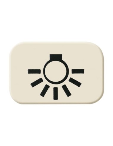 2525 LI^SYMBOL ŚWIATŁO -BUSCH-DURO-KOŚĆ SŁONIOWA