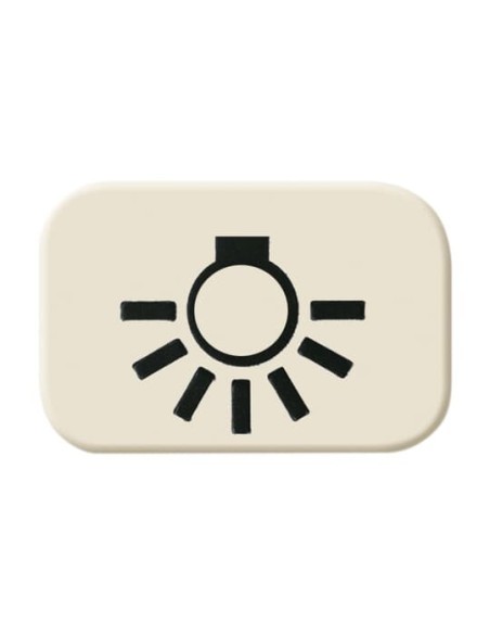 2525 LI^SYMBOL ŚWIATŁO -BUSCH-DURO-KOŚĆ SŁONIOWA