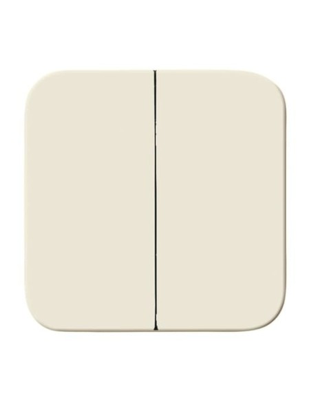 2545-212^KLAWISZ Z MOCOWANIEM ŚRUBOWYM DO WYŁĄCZNIKÓW: ŚWIECZNIKOWEGO PODWÓJNEGO SCHODOWEGO I PODWÓJNEGO ZWIERNEGO. -BUSCH-DURO