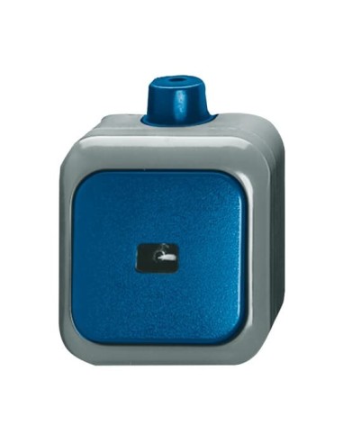 2621 WDI^PRZYCISK KOŁYSKOWY 1-BIEGUNOWY ZWIERNY STOPIEŃ OCHRONY: IP 66 -BUSCH-DURO WD-