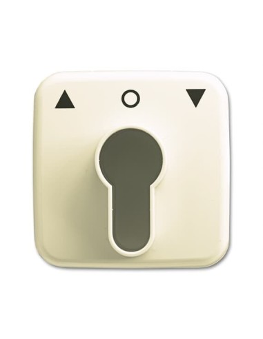 2557 PZ-212-101^POKRYWA Z NADRUKIEM. DO WKŁADKI PATENTOWEJ. -BUSCH-DURO-KOŚĆ SŁONIOWA