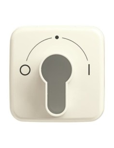 2557 SLPZ-212-101^POKRYWA Z NADRUKIEM. DO WYŁĄCZNIKA NA KLUCZ. -BUSCH-DURO-KOŚĆ SŁONIOWA