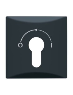 2155 SLPZ-35^POKRYWAYWA Z NADRUKIEM DO MECHANIZMU 2733 USL-101. STOPIEŃ OCHRONY: IP44. -ALLWETTER 44-ANTRACYT