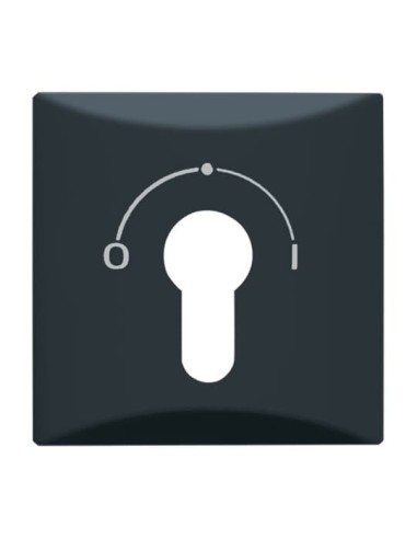 2155 SLPZ-35^POKRYWAYWA Z NADRUKIEM DO MECHANIZMU 2733 USL-101. STOPIEŃ OCHRONY: IP44. -ALLWETTER 44-ANTRACYT