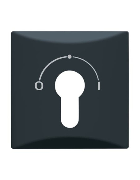 2155 SLPZ-35^POKRYWAYWA Z NADRUKIEM DO MECHANIZMU 2733 USL-101. STOPIEŃ OCHRONY: IP44. -ALLWETTER 44-ANTRACYT