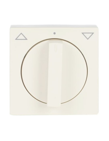 1740-82^POKRYWA Z POKRĘTŁEM I NADRUKIEM DO WYŁĄCZNIKA PRZYCISKU ŻALUZJOWEGO. -CARATSOLOFUTURE-KOŚĆ SŁONIOWA