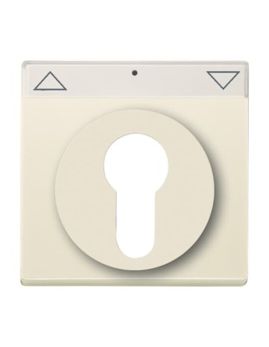 1755 SL PZ-82-101^POKRYWA Z POLEM OPISOWYM. Z NADRUKIEM. DO WYŁĄCZNIKA NA KLUCZ I WYŁĄCZNIKA PRZYCISKU ŻALUZJOWEGO. -CARATSOLO