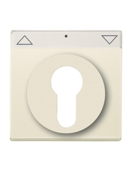 1755 SL PZ-82-101^POKRYWA Z POLEM OPISOWYM. Z NADRUKIEM. DO WYŁĄCZNIKA NA KLUCZ I WYŁĄCZNIKA PRZYCISKU ŻALUZJOWEGO. -CARATSOLO