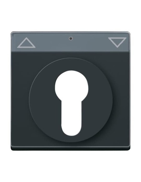 1755 SL PZ-81-101^POKRYWA Z POLEM OPISOWYM. Z NADRUKIEM. DO WYŁĄCZNIKA NA KLUCZ I WYŁĄCZNIKA PRZYCISKU ŻALUZJOWEGO. -CARATFUTUR