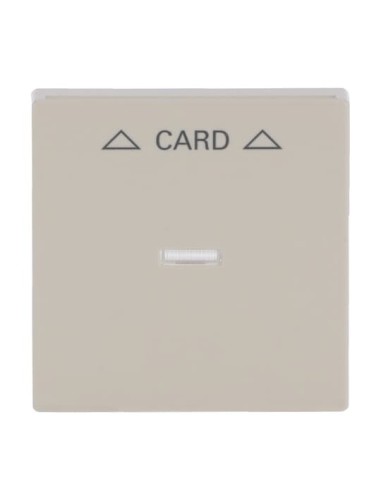 1792-82^POKRYWA DO WYŁĄCZNIKA NA KARTĘ DO MECHANIZMU 2025 U. -FUTURE-KOŚĆ SŁONIOWA