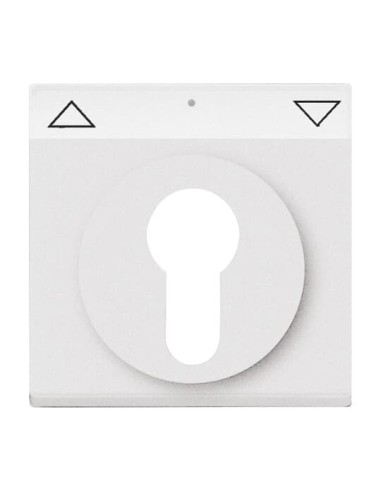 1755 SL PZ-83-101^POKRYWA Z POLEM OPISOWYM. Z NADRUKIEM. DO WYŁĄCZNIKA NA KLUCZ I WYŁĄCZNIKA PRZYCISKU ŻALUZJOWEGO. -FUTURE-ALUM