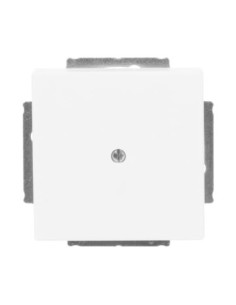 1742-884^Pokrywa maskująca z pierścieniem nośnym