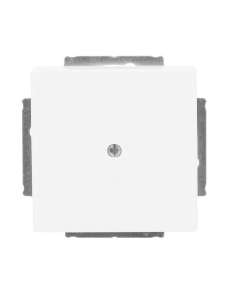 1742-884^Pokrywa maskująca z pierścieniem nośnym