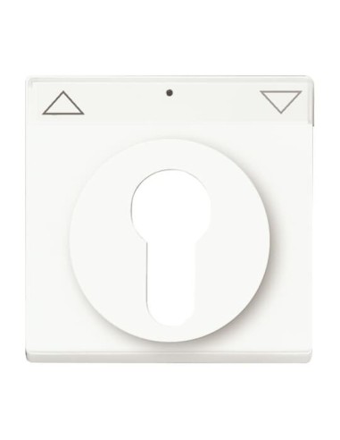 1755 SL PZ-884-101^Pokrywa z polem opisowym.