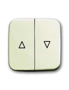 2504-212-500^KLAWISZ Z NADRUKIEM DO WYŁĄCZNIKA PRZYCISKU ŻALUZJOWEGO. DO MECHANIZMU 2000 4 U ORAZ 2020 4 US. -BUSCH-DURO-KOŚĆ SŁ