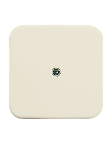 2536-212^POKRYWA DO PRZELOTOWYCH PUSZEK TELEFONICZNYCH (VDO). -BUSCH-DURO-KOŚĆ SŁONIOWA