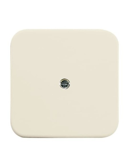 2536-212^POKRYWA DO PRZELOTOWYCH PUSZEK TELEFONICZNYCH (VDO). -BUSCH-DURO-KOŚĆ SŁONIOWA