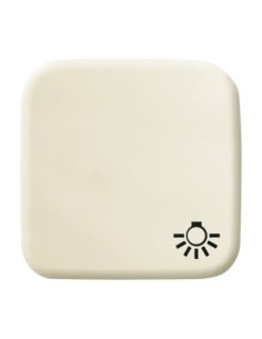 2520 LI-212^KLAWISZ Z SYMBOLEM ŚWIATŁO DO PRZYCISKU ZWIERNEGO. -BUSCH-DURO-KOŚĆ SŁONIOWA