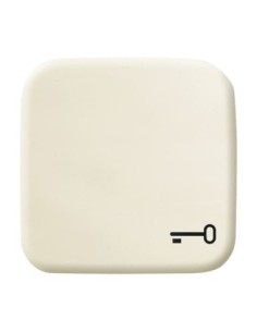 2520 TR-212^KLAWISZ Z SYMBOLEM KLUCZ DO PRZYCISKU ZWIERNEGO. -BUSCH-DURO-KOŚĆ SŁONIOWA