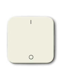 2502-212-500^KLAWISZ POJ. 2-BIEGUNOWY 3-BIEGUNOWY Z NADRUKIEM -BUSCH-DURO-KOŚĆ SŁONIOWA