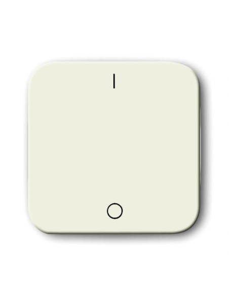 2502-212-500^KLAWISZ POJ. 2-BIEGUNOWY 3-BIEGUNOWY Z NADRUKIEM -BUSCH-DURO-KOŚĆ SŁONIOWA