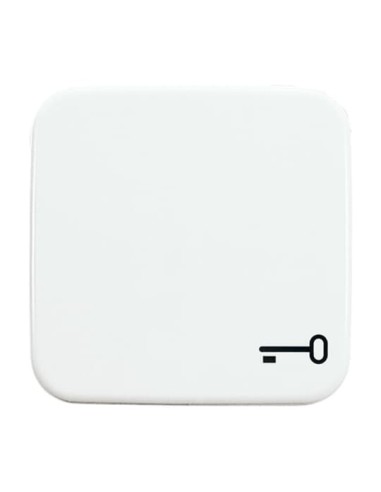 2520 TR-214^KLAWISZ Z SYMBOLEM KLUCZ DO PRZYCISKU ZWIERNEGO. -REFLEX-BIAŁY ALPEJSKI