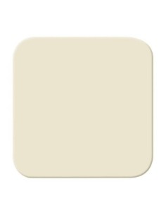 2506 O-212^KLAWISZ POJ. DO PRZYCISKU 42 V. MECHANIZM 2031 UP. BEZ ELEMENTU MOCUJĄCEGO. -BUSCH-DURO-KOŚĆ SŁONIOWA