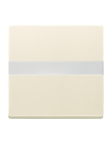 1764 NLI-82^KLAWISZ Z POLEM OPISOWYM Z PRYZMATEM DO RÓWNOMIERNEGO PODŚWIETLENIA OPISU. -CARATSOLOFUTURE-KOŚĆ SŁONIOWA