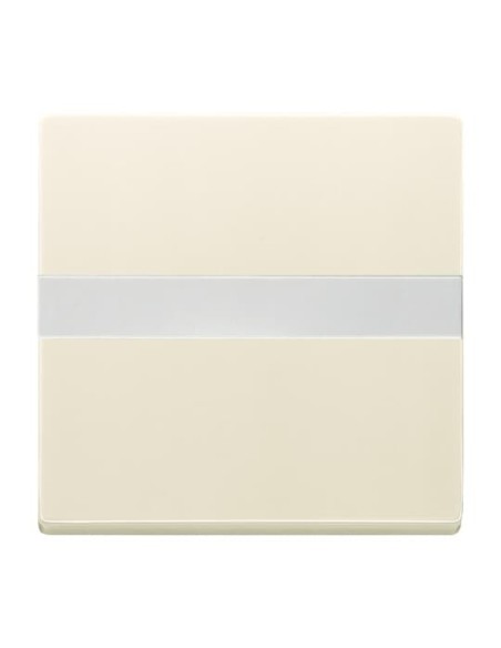 1764 NLI-82^KLAWISZ Z POLEM OPISOWYM Z PRYZMATEM DO RÓWNOMIERNEGO PODŚWIETLENIA OPISU. -CARATSOLOFUTURE-KOŚĆ SŁONIOWA