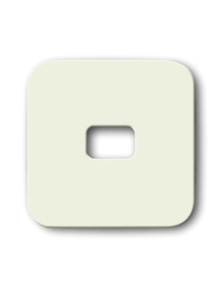 2520-212-500^KLAWISZ Z SYMBOLEM KLUCZ DO PRZYCISKU ZWIERNEGO. DO PRZYCISKU ZWIERNEGO.-BUSCH-DURO-KOŚĆ SŁONIOWA