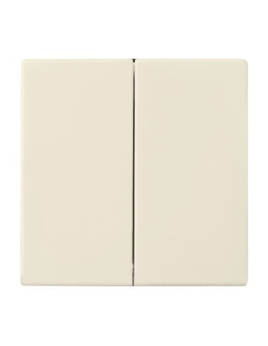 1785-82^KLAWISZ PODWÓJNY DO WYŁĄCZNIKÓW: ŚWIECZNIKOWEGO PODWÓJNEGO SCHODOWEGO I PODWÓJNEGO ZWIERNEGO. -CARATSOLOFUTURE-KOŚĆ S