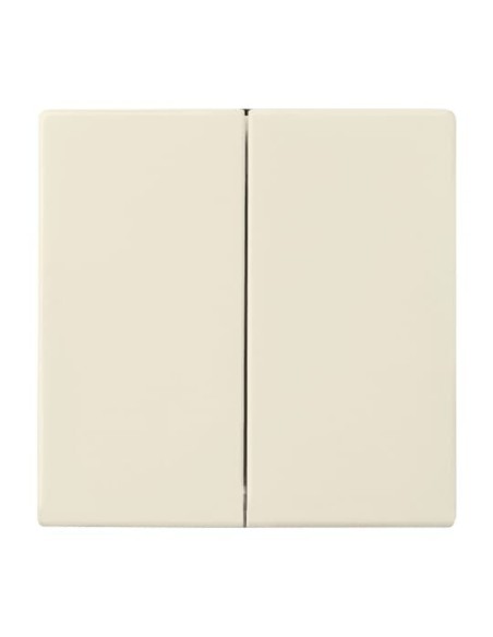 1785-82^KLAWISZ PODWÓJNY DO WYŁĄCZNIKÓW: ŚWIECZNIKOWEGO PODWÓJNEGO SCHODOWEGO I PODWÓJNEGO ZWIERNEGO. -CARATSOLOFUTURE-KOŚĆ S