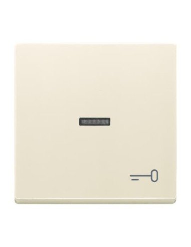 1789 TR-82^KLAWISZ Z SYMBOLEM KLUCZ DO PRZYCISKU ZWIERNEGO -CARATSOLOFUTURE-KOŚĆ SŁONIOWA