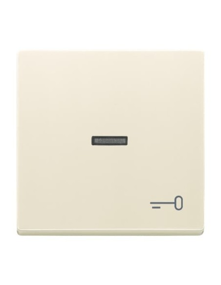 1789 TR-82^KLAWISZ Z SYMBOLEM KLUCZ DO PRZYCISKU ZWIERNEGO -CARATSOLOFUTURE-KOŚĆ SŁONIOWA